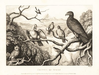 Kotka johtaa lintujen tuomioistuinta puussa. 1811 (etsaus) tekijältä Samuel Howitt