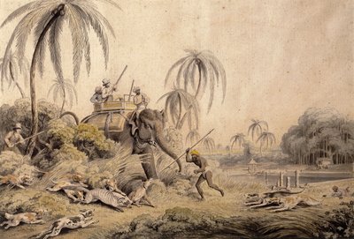 Metsästys Kuttauss tai Civet Cat, tekijältä Samuel Howitt