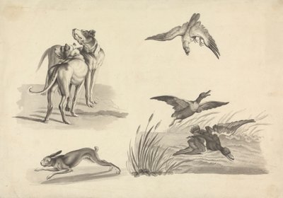 Folha de Estudos de Hounds, Hare, Falcon e Ducksfinnish tekijältä Samuel Howitt