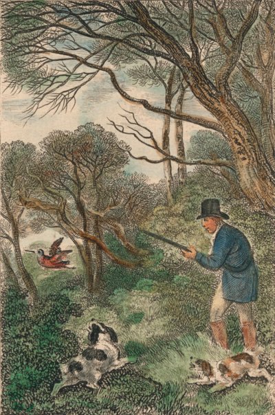 Woodcock-ammunta, 1819. tekijältä Samuel Howitt