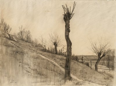 Myöhäinen talvimaisema, 1884 (hiili kiiltävälle paperille) tekijältä Samuel Isham