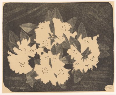 Rhododendron tekijältä Samuel Jessurun de Mesquita (signed by artist)