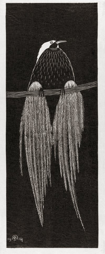 Paratiisilintu, kirjoittanut Samuel Jessurun de Mesquita tekijältä Samuel Jessurun de Mesquita