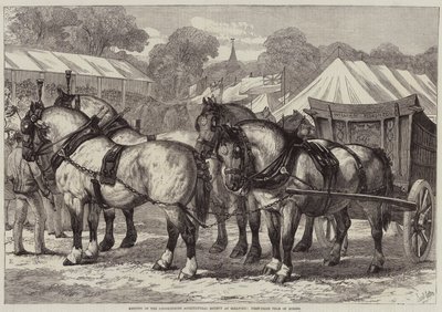 Lincolnshire Agricultural Societyn kokous Sleafordissa, ensimmäisen palkinnon saanut hevosjoukkue tekijältä Samuel John Carter