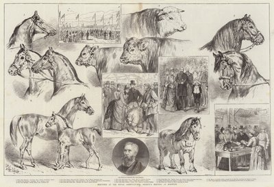 Luonnokset Royal Agricultural Societyn kokouksessa Norwichissa tekijältä Samuel John Carter