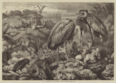 Heronry Didlington Parkissa, Norfolkissa tekijältä Samuel John Carter