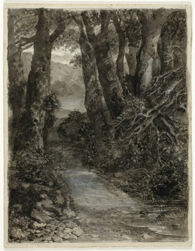 Metsämaatutkimus tekijältä Samuel Palmer