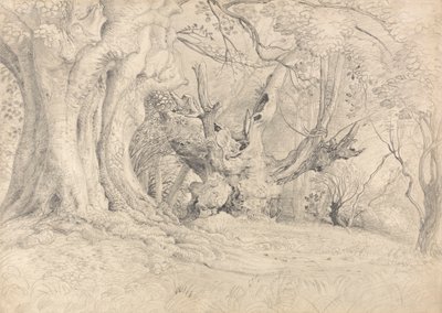 Ancient Trees, Lullingstone Park tekijältä Samuel Palmer
