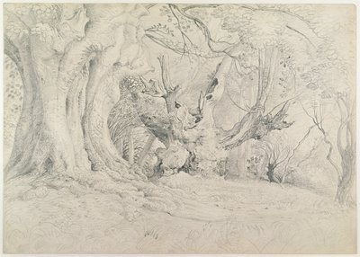 Ancient Trees, Lullingstone Park, 1828 (grafiitti paperille) tekijältä Samuel Palmer