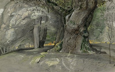 Tammi ja pyökki, Lullingstone Park tekijältä Samuel Palmer
