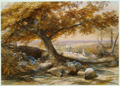 Sheep in the Shade, noin 1851 tekijältä Samuel Palmer