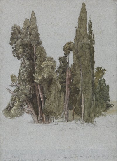 Sypressit Villa d