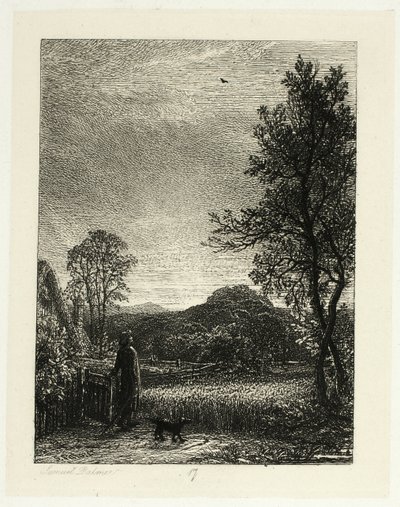 Skylark tekijältä Samuel Palmer