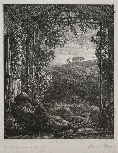 Nukkuva paimen tekijältä Samuel Palmer