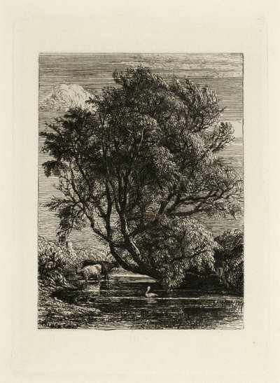 Willow tekijältä Samuel Palmer