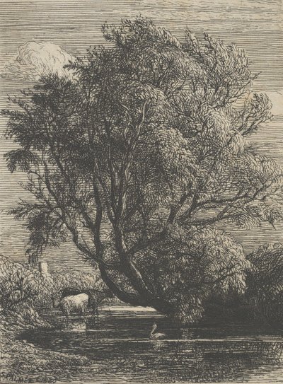 Willow, 1850. tekijältä Samuel Palmer