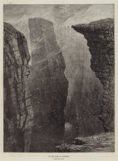 Caithnessin rannikolla tekijältä Samuel Read