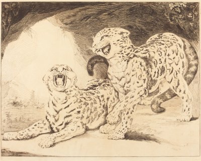 Leopardit tekijältä Samuel William Reynolds I after James Northcote