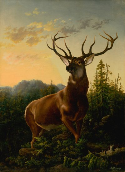 Hirvi metsämaisemassa, 1876. tekijältä Sandor Brodszky