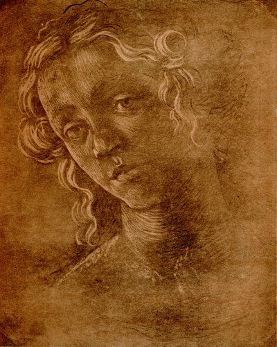 Naisen pää tekijältä Sandro Botticelli