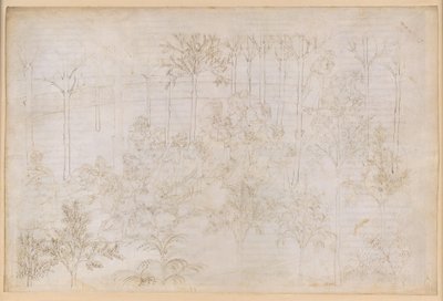 La Divina Commedia, Purgatorio XXXIII. Maallinen paratiisi: Beatrice hyveiden piirissä; lähtö; Danten kylpy Eunoe-joessa tekijältä Sandro Botticelli