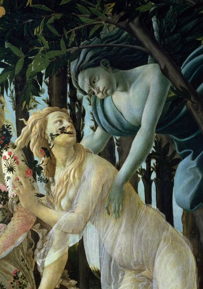 Primavera: Zephyr ja Flora -taulu, tempera, paneeli tekijältä Sandro Botticelli