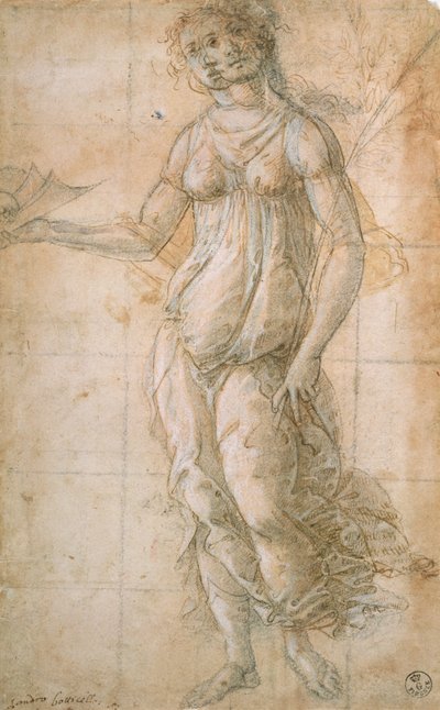 Athenen tutkimus (piirustus) tekijältä Sandro Botticelli
