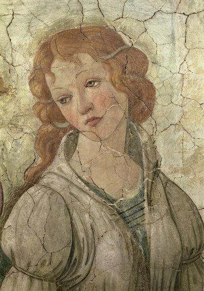 Venus ja kolme armoa tarjoamassa lahjoja nuorelle tytölle, yksityiskohta yhdestä armosta, fresko, 33760, ks. myös 93891, 93893-4. tekijältä Sandro Botticelli