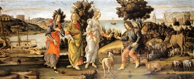 Pariisin tuomio tekijältä Sandro Botticelli and workshop
