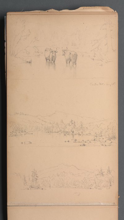 Luonnoslehti, sivu 07: "Carter Mt () 28.8." tekijältä Sanford Robinson Gifford
