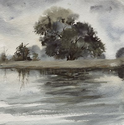 Misty Tree -mietiskelyjä tekijältä Santhosh ch