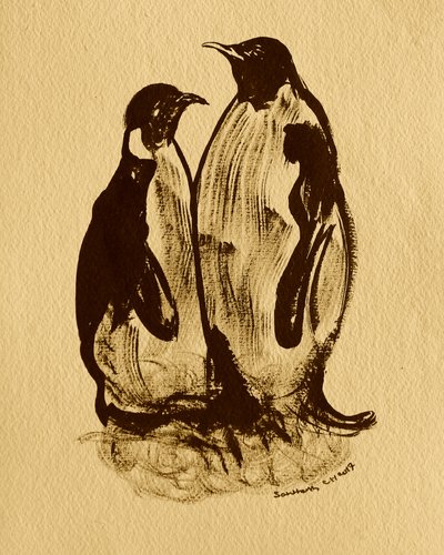 Pingviiniperheen muotokuva tekijältä Santhosh ch