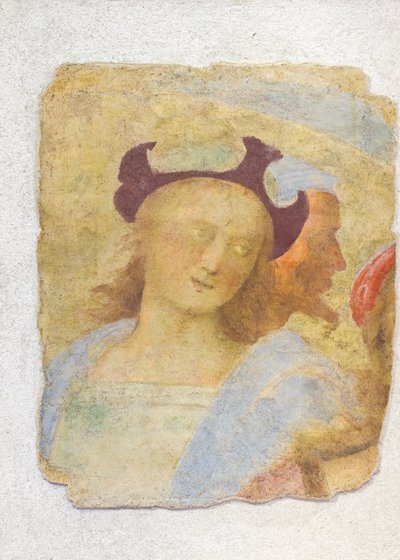 Nuori mies (fresko) tekijältä Sanzio of Urbino (attr. to) Raphael
