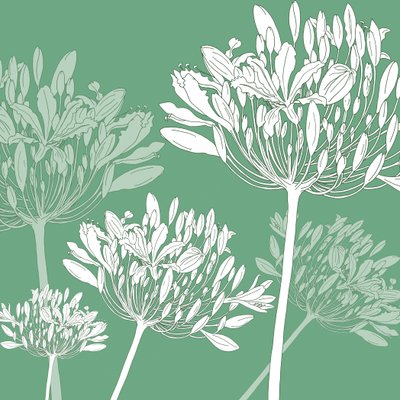 Agapanthus Breeze, 2005 (digitaalinen) tekijältä Sarah Hough