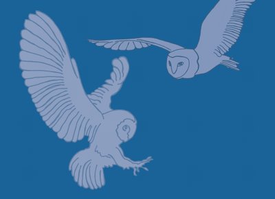 Pöllöt, 2017 tekijältä Sarah Hough