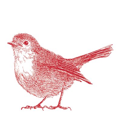 Robin, 2017 tekijältä Sarah Hough