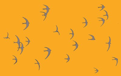 Swifts, 2017 tekijältä Sarah Hough