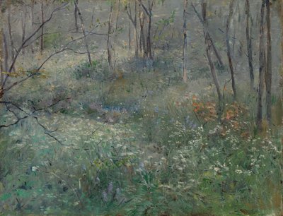 Villi persilja, 1900. tekijältä Sarah Paxton Ball Dodson