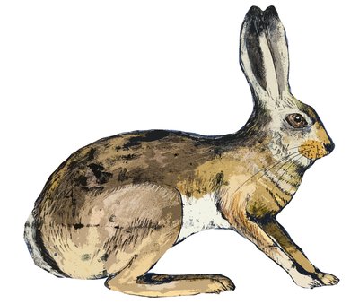 Hare, 2024 (monoprintti) tekijältä Sarah Thompson Engels