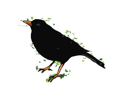 Blackbird, 2018, (digitaalinen piirustus) tekijältä Sarah Thompson Engels
