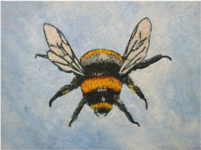 Bumblebee, 2015 (pastellit ja vesivärit) tekijältä Sarah Thompson Engels