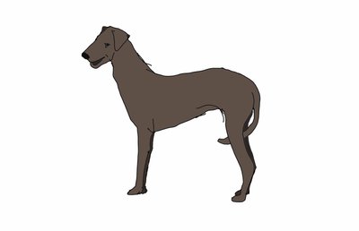 Koira, 2018, (digitaalinen piirustus) tekijältä Sarah Thompson-Engels