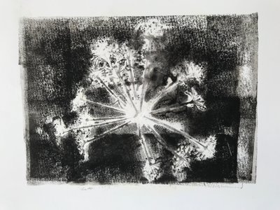 Sidhel E, 2020, (Monoprint) tekijältä Sarah Thompson-Engels