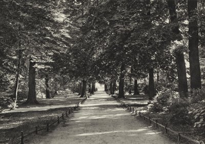Berliini: Tiergarten (m/w kuva) tekijältä Sasha Stone