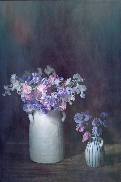  tekijältä Saskia Dingemans