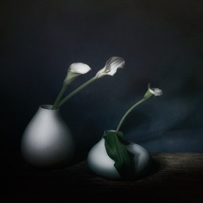  tekijältä Saskia Dingemans