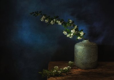  tekijältä Saskia Dingemans