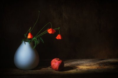  tekijältä Saskia Dingemans