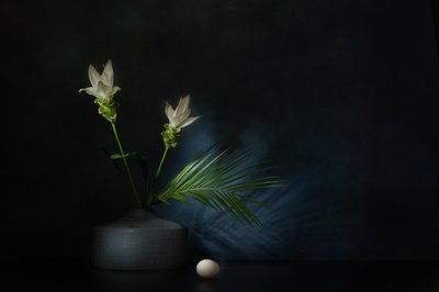  tekijältä Saskia Dingemans