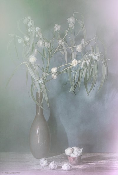  tekijältä Saskia Dingemans